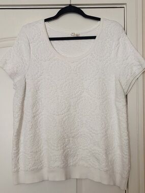 Moth White Textured Short-Sleeve Scoop Neck Top